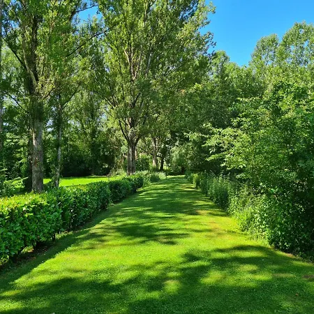 Le Malpas Woodpecker * Belvès